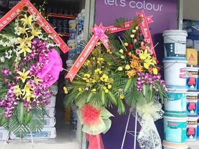 Cần mua sơn nước Dulux GÒ VẤP